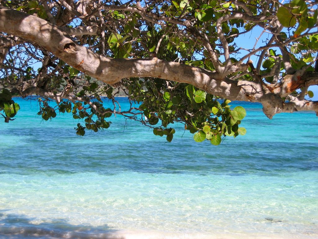 Discover what to do in Barbados - your perfect weekend itinerary!