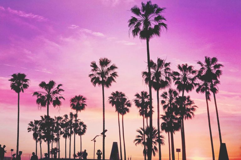 The First Timer’s Weekend Guide to Venice Beach, California
