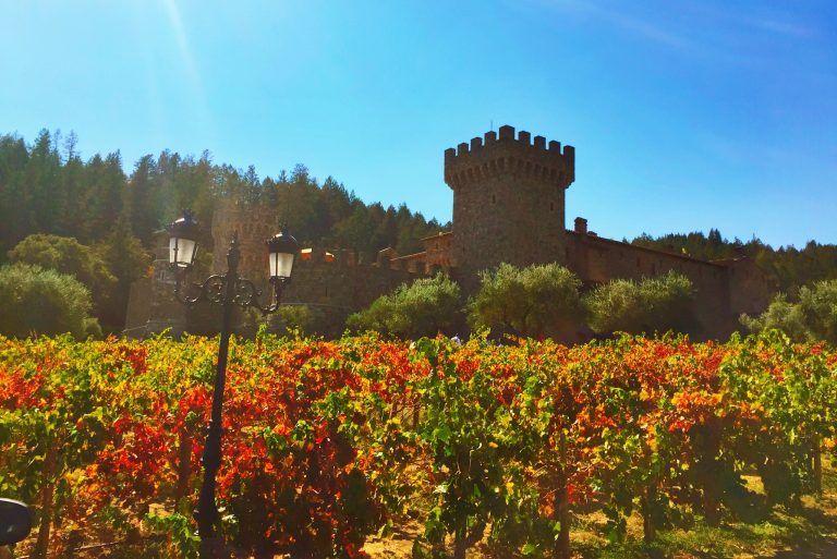 Napa Valley 101: Tips for First Time Visitors