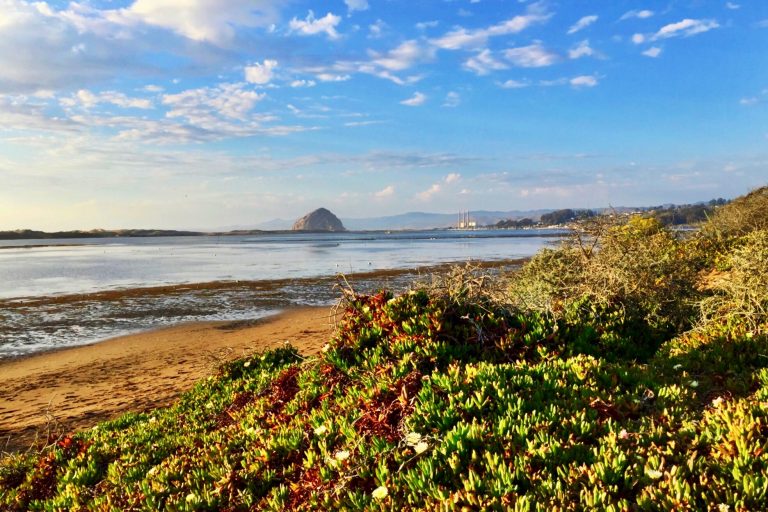 8 day Pacific Coast Highway road trip itinerary - Morro Bay