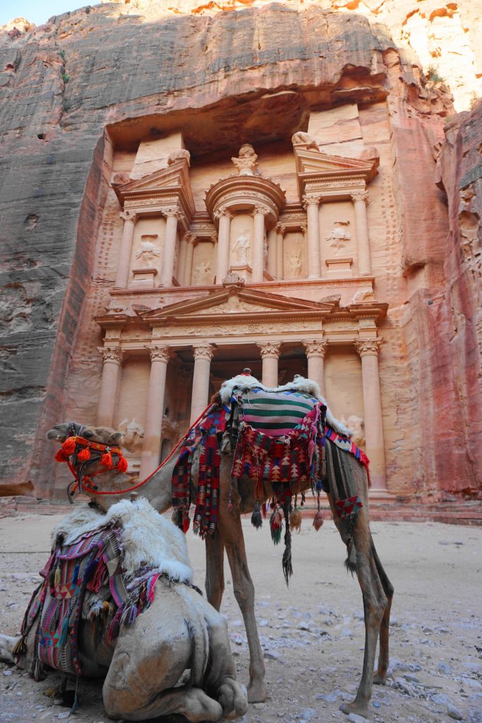 The Treasury at Petra at sunrise with camels