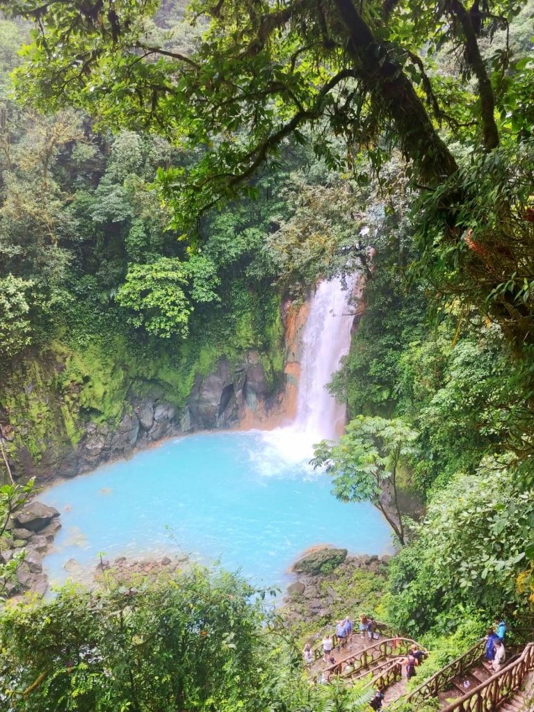 pathway down to Rio Celeste Waterfall in Tenorio Volcano National Park