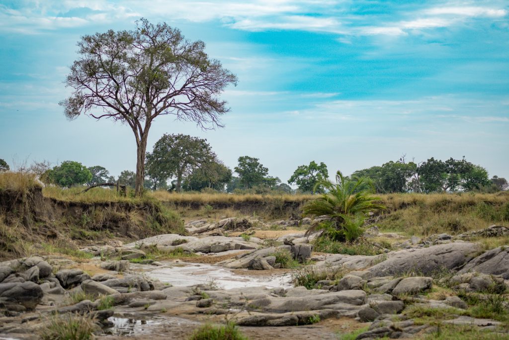 landscape in the Serengeti in Tanzania