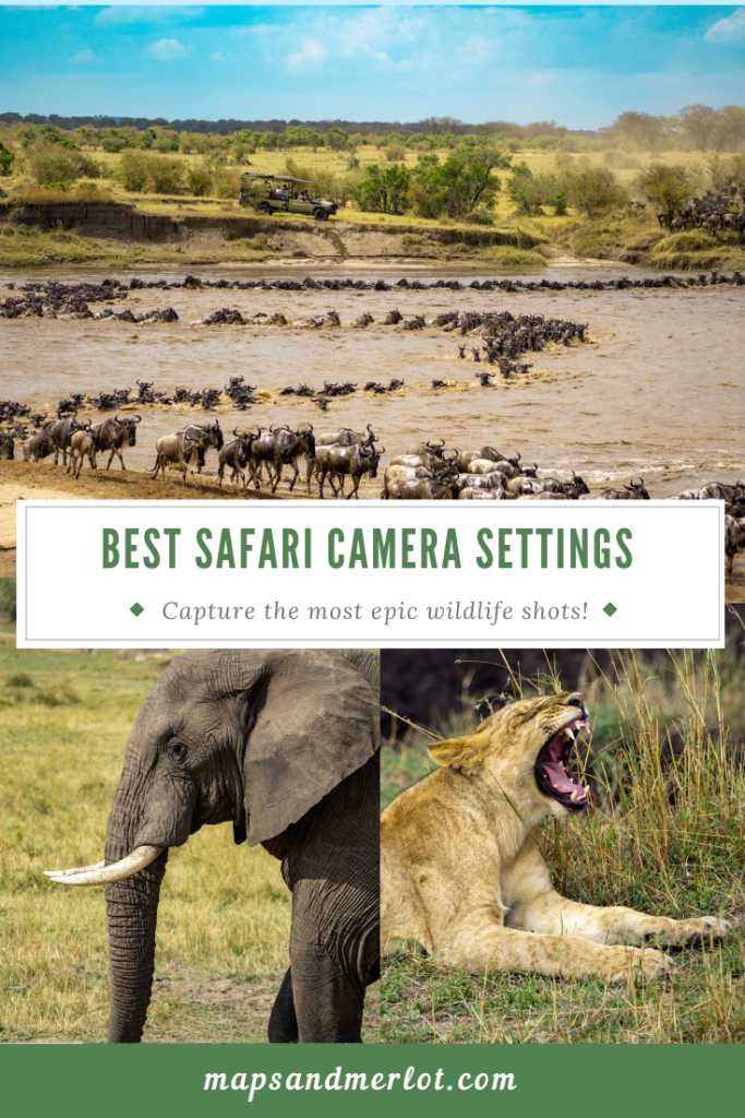 best camera settings for safari 3