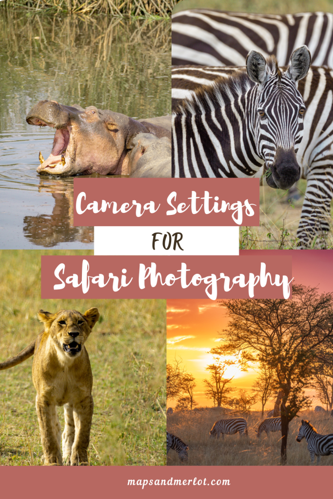 best camera settings for safari 4
