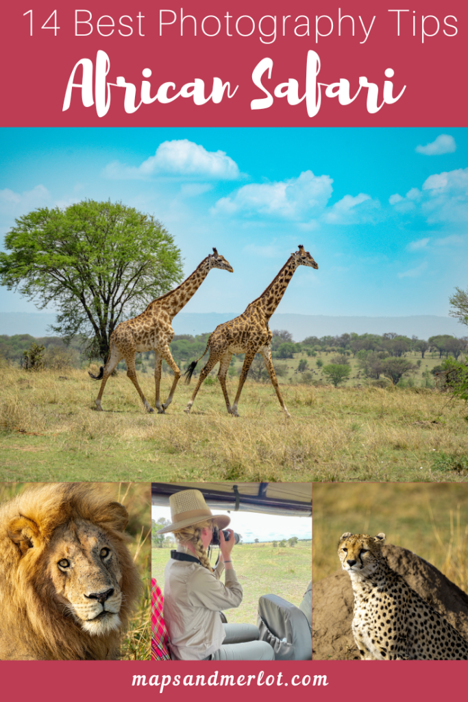 African Safari Photography tips to take better wildlife photos on safari