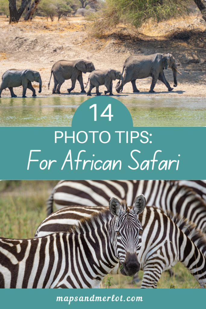 African Safari Photography tips to take better wildlife photos on safari
