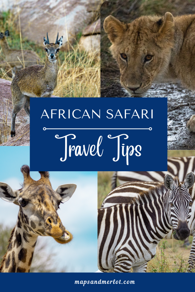 African safari travel tips for your first safari -1