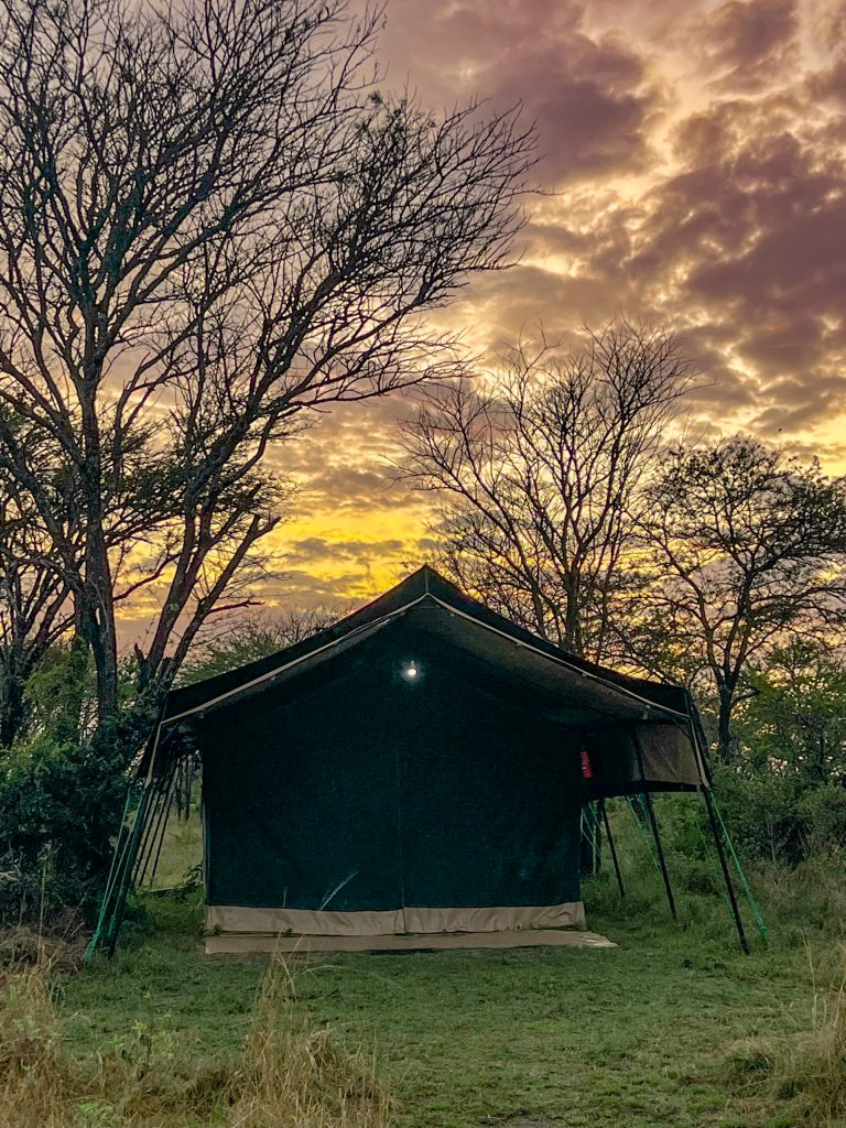 tented safari camp in the evening
