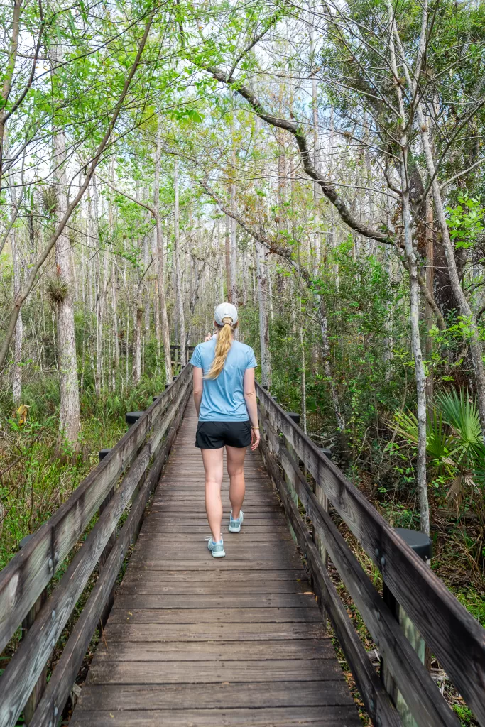 Six Mile Cypress Slough Preserve on a Fort Myers 3 day itinerary in Florida